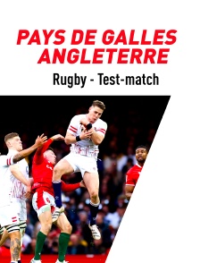 Rugby - Test-match : Pays de Galles / Angleterre