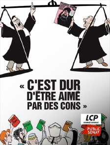 LCP Public Sénat - C'est dur d'être aimé par des cons
