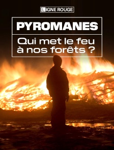 Pyromanes, qui met le feu à nos forêts ?