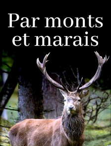 Par monts et marais : Le piémont des Alpes
