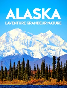 Alaska, l'aventure grandeur nature