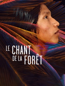 Le chant de la forêt