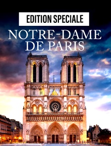Edition spéciale Notre-Dame