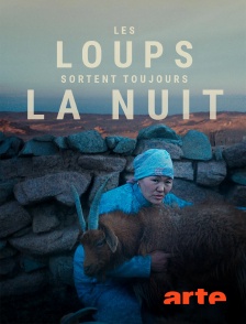 Arte - Les loups sortent toujours la nuit