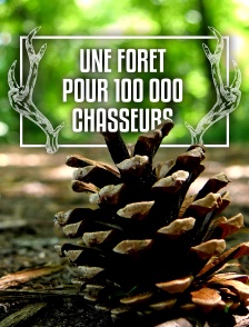 Une forêt pour 100 000 chasseurs