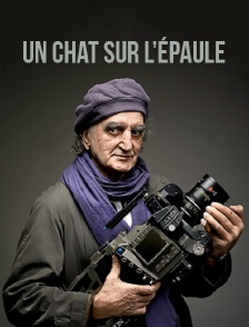 Un chat sur l'épaule