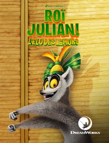 DreamWorks - Roi Julian ! L'élu des lémurs