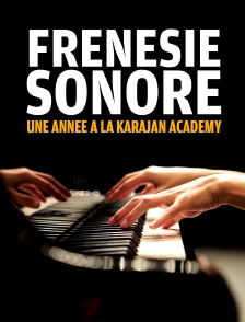 Frénésie sonore : une année à la Karajan Academy