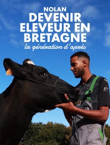 Nolan - devenir éleveur en Bretagne, la génération d'après