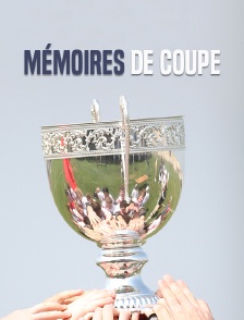 Mémoires de coupe