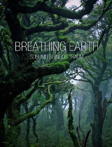 Breathing Earth