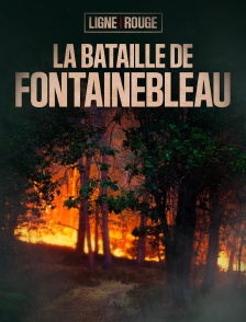 Incendie: la bataille de Fontainebleau