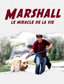 Marshall, le miracle de la vie