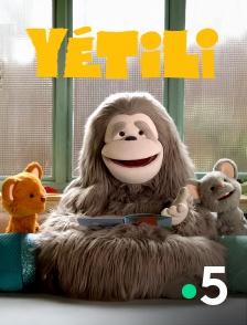 France 5 - Yétili