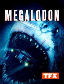 Megalodon