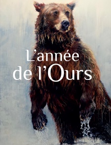 L'année de l'ours