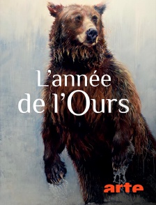 Arte - L'année de l'ours