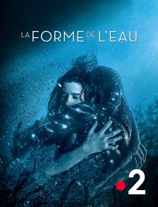 La forme de l'eau