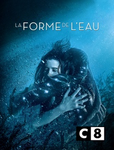 C8 - La forme de l'eau