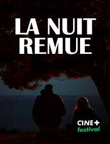 CINE+ Festival - La nuit remue