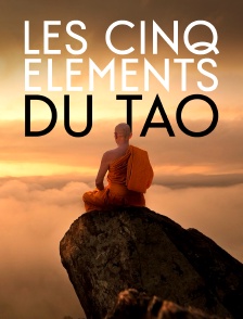 Les cinq éléments du tao, élixirs de vie