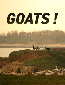 Goats !