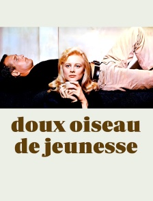 Doux oiseau de jeunesse