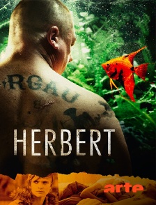 Arte - Herbert