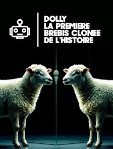 Dolly : La première brebis clonée de l'histoire