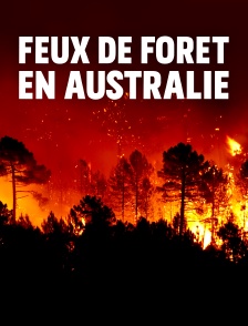 Sauvetage dans le bush