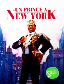 Gulli - Un prince à New York