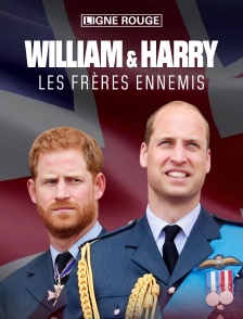 William & Harry, les frères ennemis