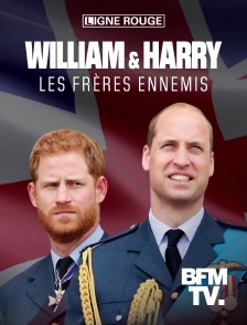 William & Harry, les frères ennemis