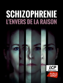 Schizophrénie, l'envers de la raison