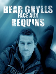 Bear Grylls face aux requins