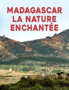 Madagascar : la nature enchantée