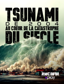 Tsunami de 2004 : au coeur de la catastrophe du siècle