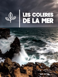 Les colères de la mer