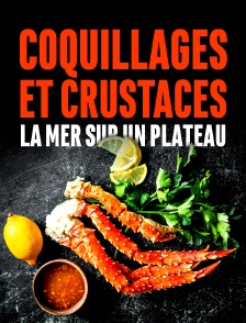 Coquillages et crustacés, la mer sur un plateau
