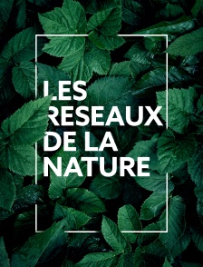 Les réseaux de la nature