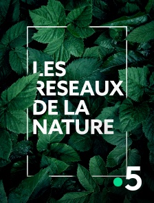 France 5 - Les réseaux de la nature