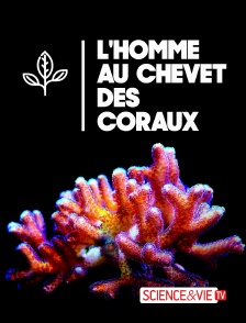 Science et Vie TV - L'homme au chevet des coraux