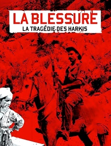La blessure, la tragédie des Harkis