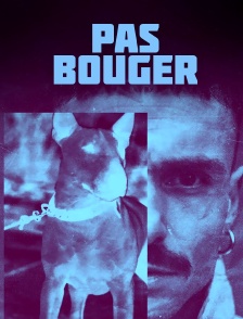 Pas Bouger
