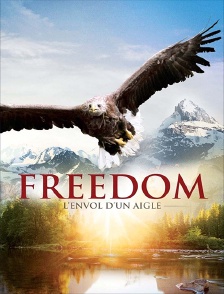 Freedom, l'envol d'un aigle