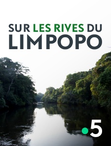 Sur les rives du Limpopo