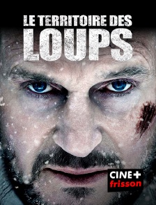 CINE+ Frisson - Le territoire des loups en replay