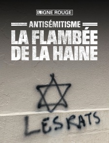 Antisémitisme, la flambée de la haine