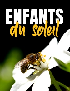 Enfants du soleil