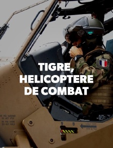 Tigre, hélicoptère de combat